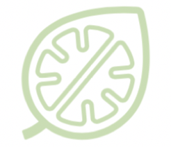 Connect My Mind Brand Logo